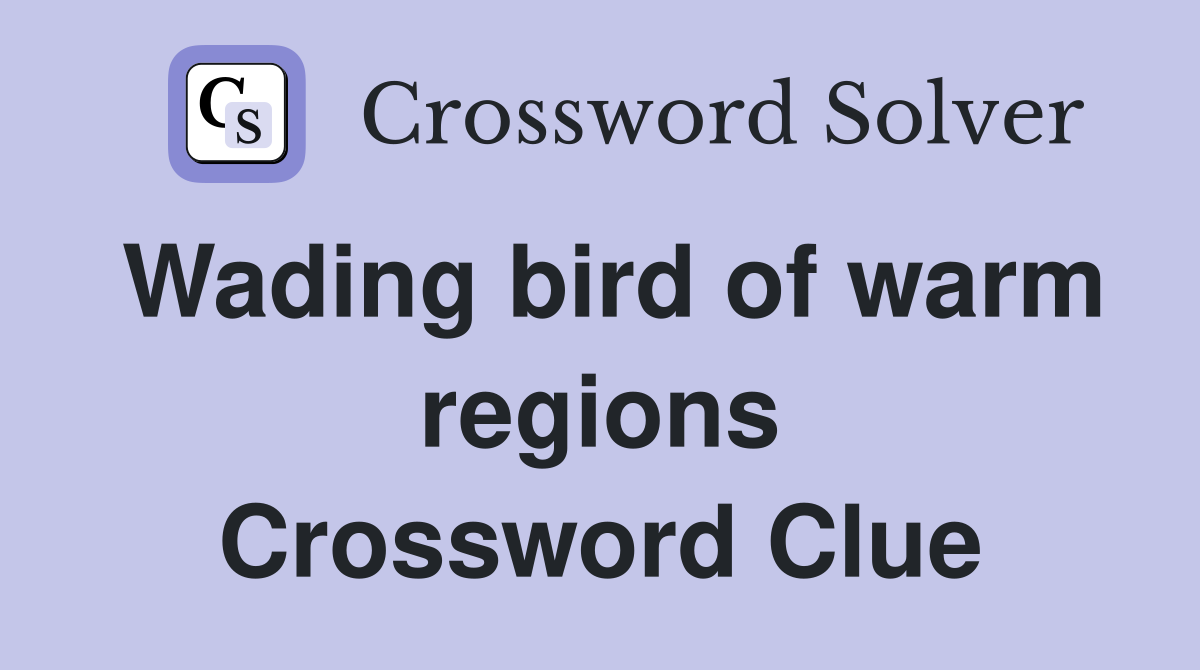 Wading bird of warm regions Crossword Clue