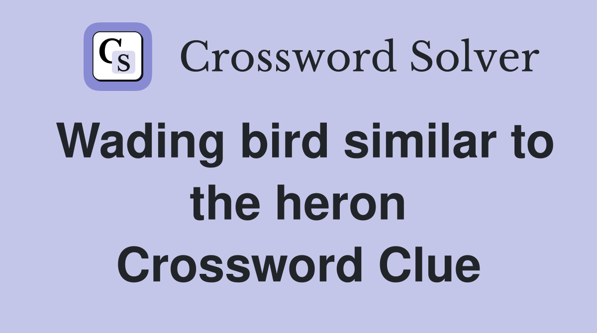 Wading bird similar to the heron Crossword Clue