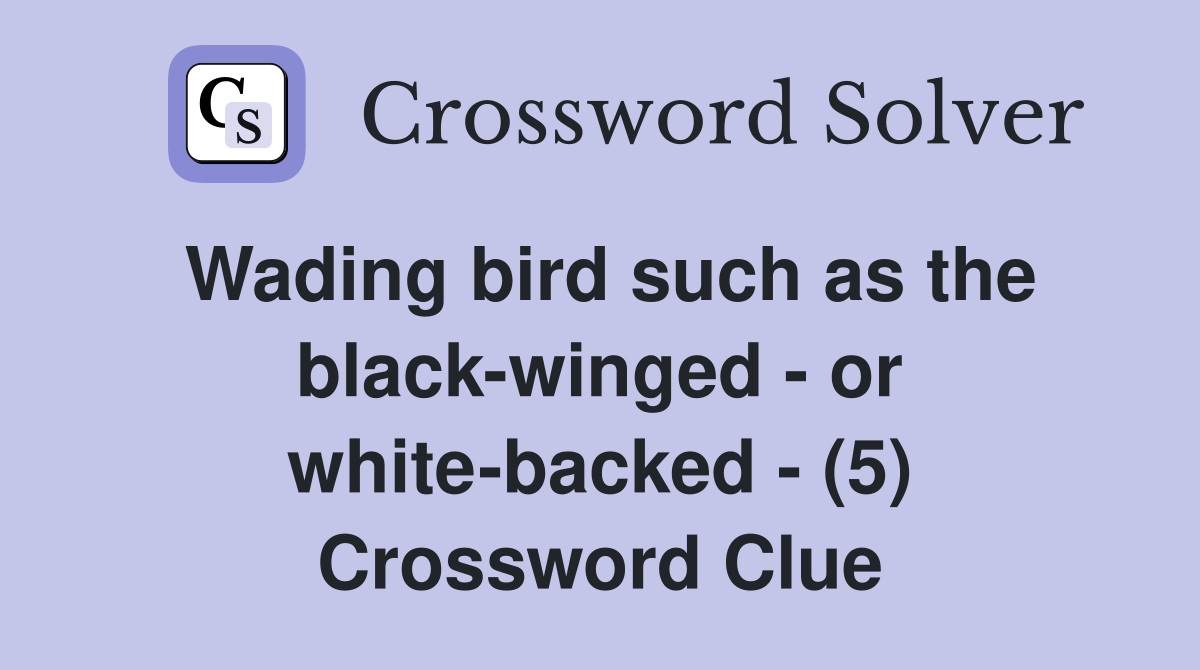Wading bird such as the black-winged - or white-backed - (5) Crossword Clue