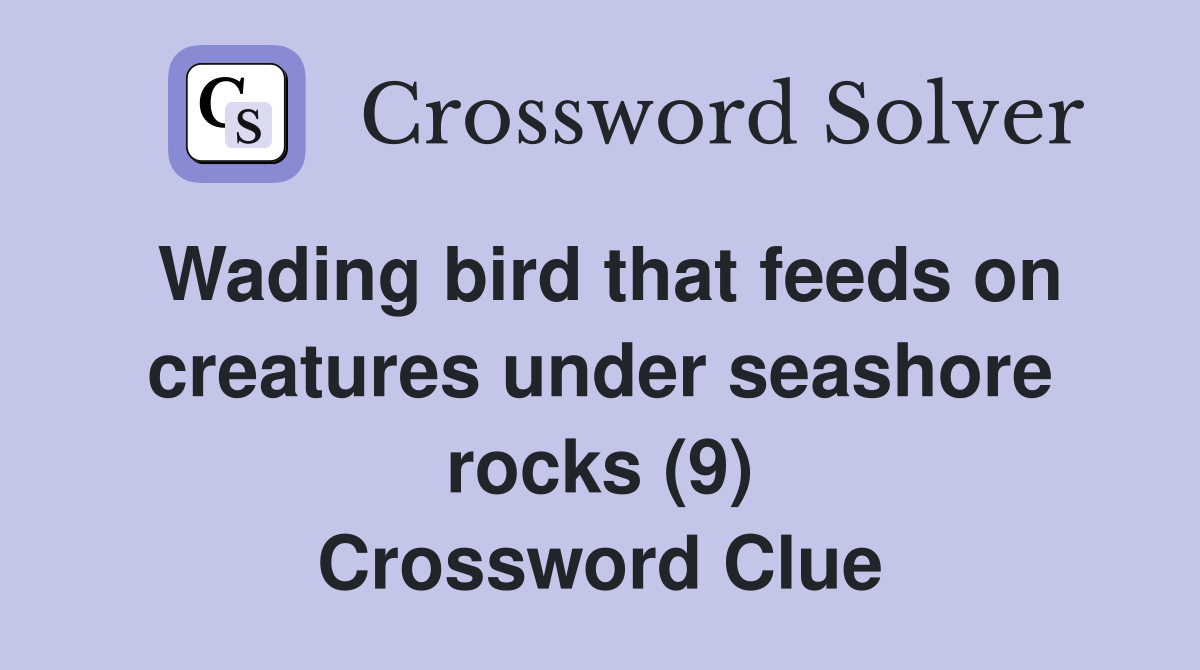 Wading bird that feeds on creatures under seashore rocks (9) Crossword Clue