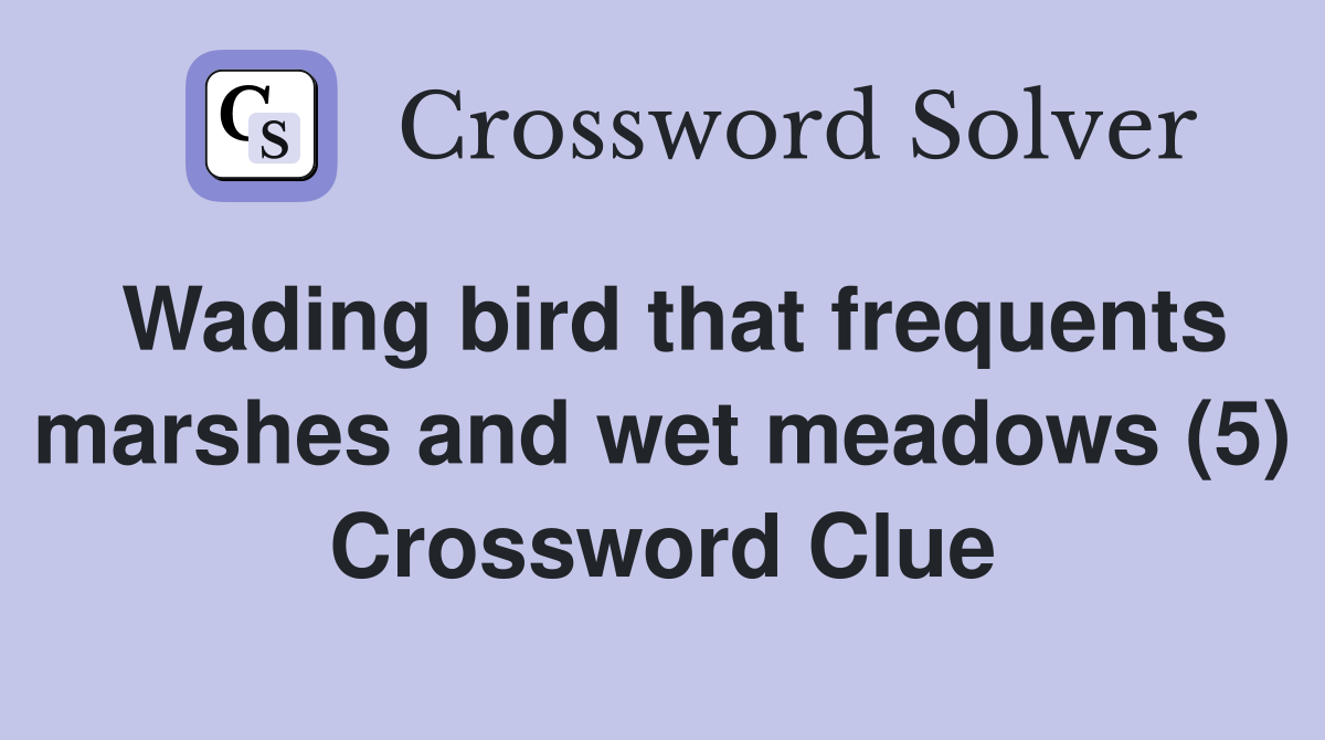 Wading bird that frequents marshes and wet meadows (5) Crossword Clue