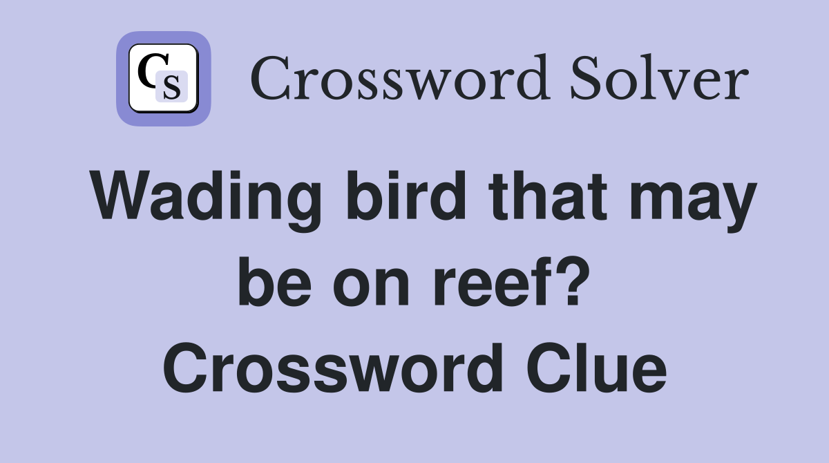 Wading bird that may be on reef? Crossword Clue