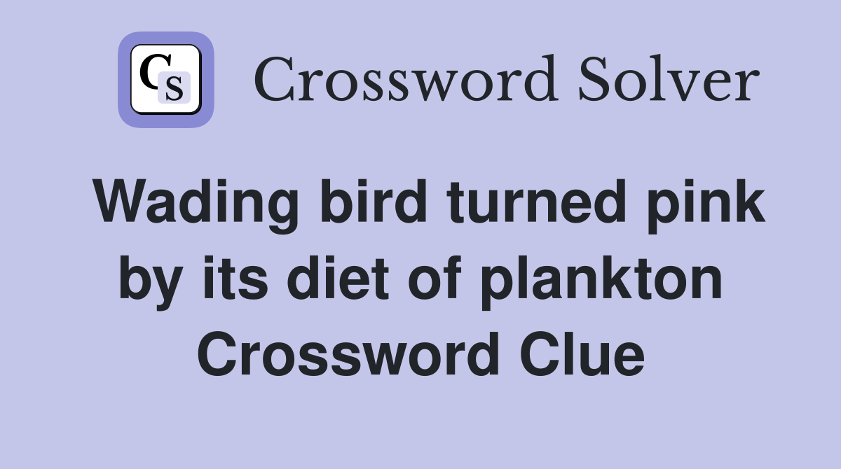 Wading bird turned pink by its diet of plankton Crossword Clue