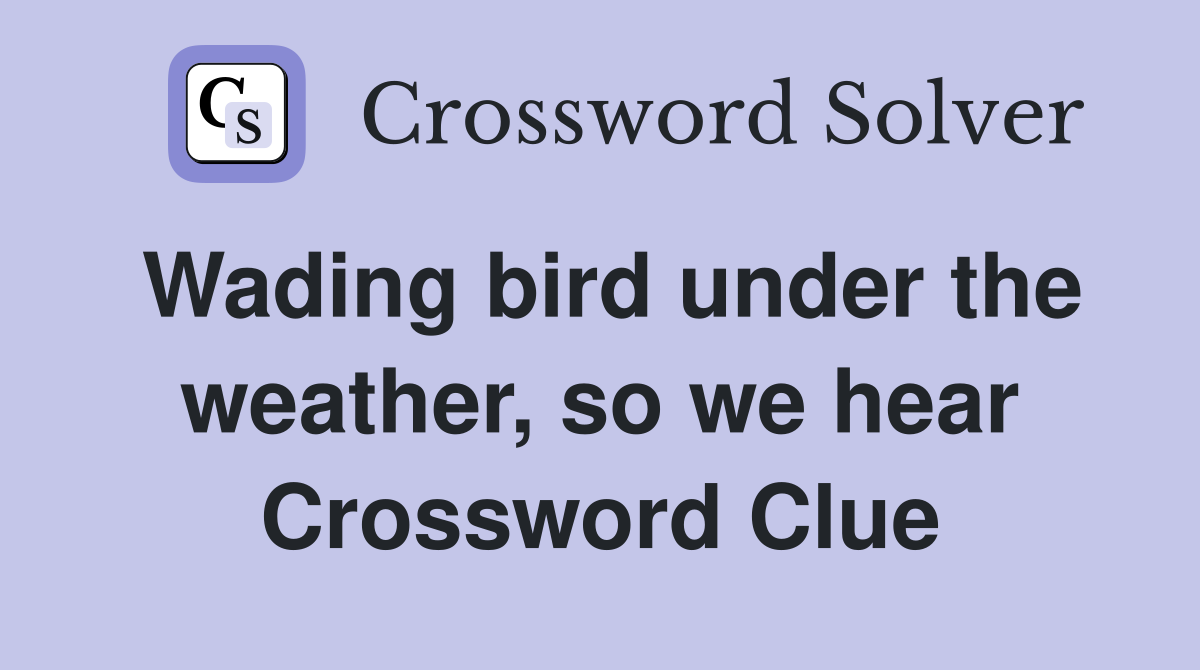 Wading bird under the weather, so we hear Crossword Clue