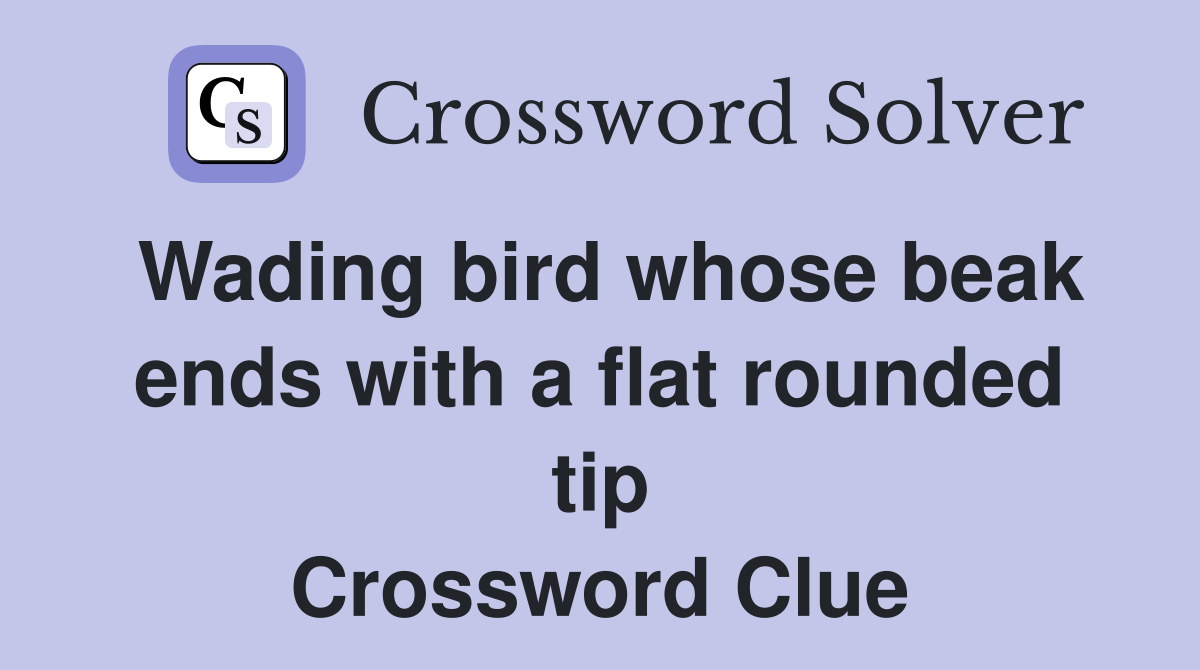 Wading bird whose beak ends with a flat rounded tip Crossword Clue