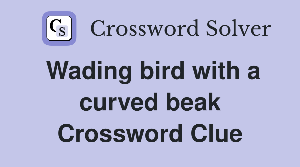 Wading bird with a curved beak Crossword Clue