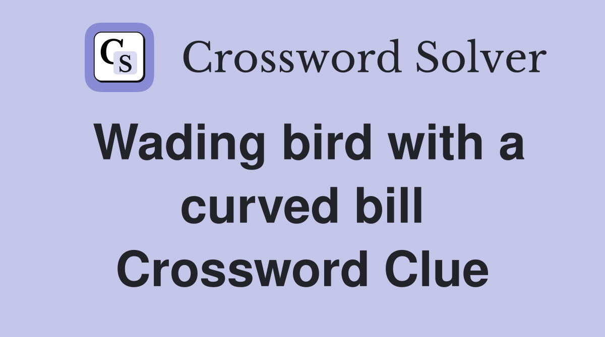 Wading bird with a curved bill Crossword Clue