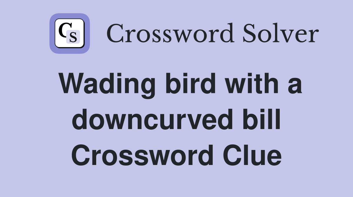 Wading bird with a downcurved bill Crossword Clue
