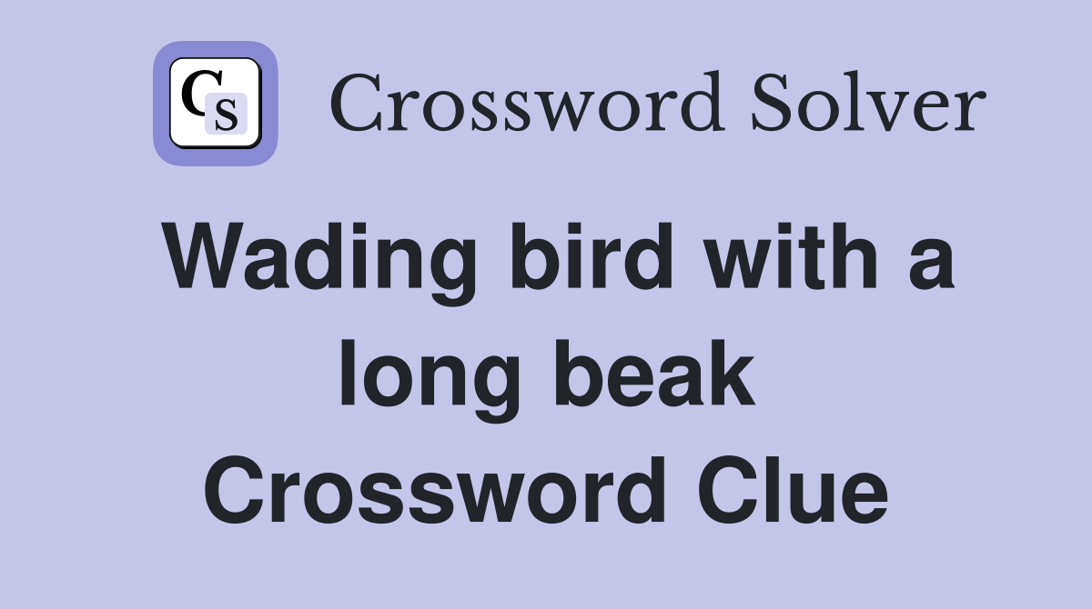 Wading bird with a long beak Crossword Clue