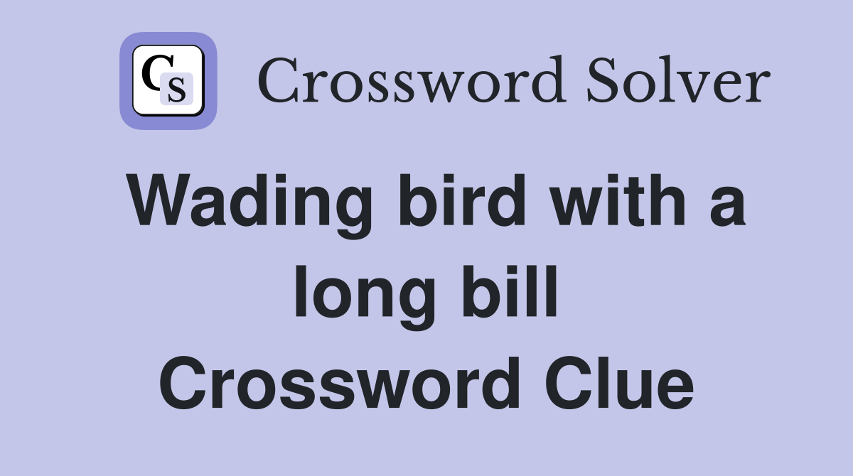 Wading bird with a long bill Crossword Clue