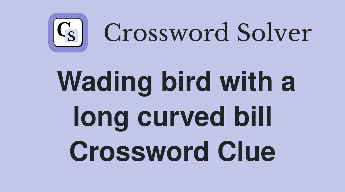 Wading bird with a long curved bill Crossword Clue