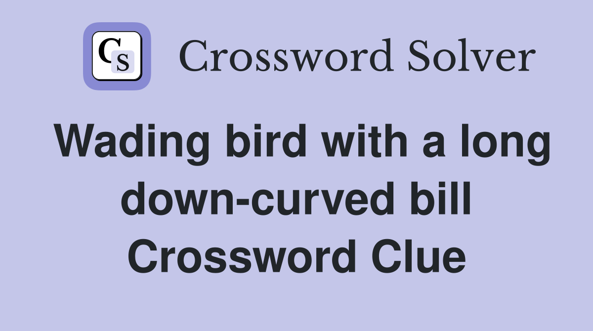 Wading bird with a long down-curved bill Crossword Clue