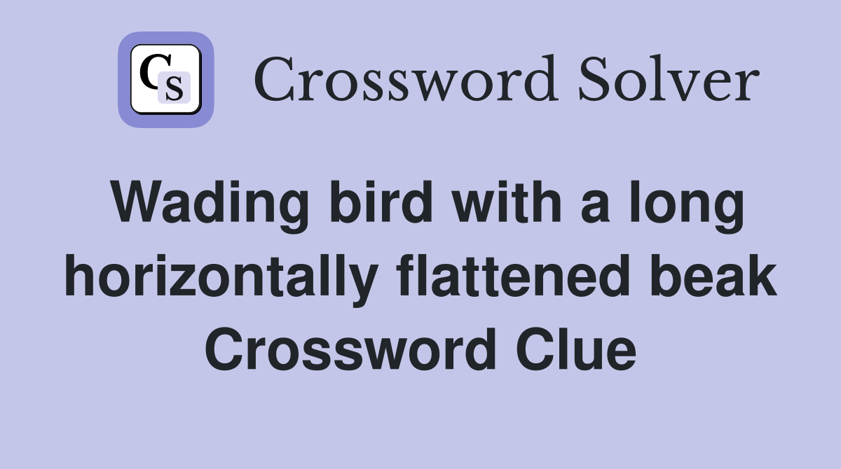Wading bird with a long horizontally flattened beak Crossword Clue