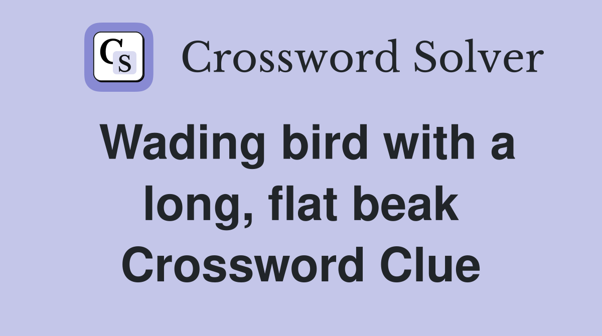 Wading bird with a long, flat beak Crossword Clue