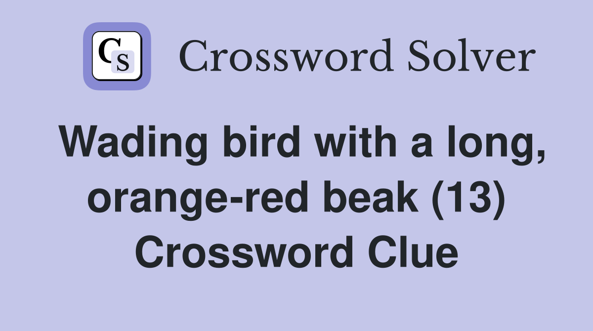 Wading bird with a long, orange-red beak (13) Crossword Clue