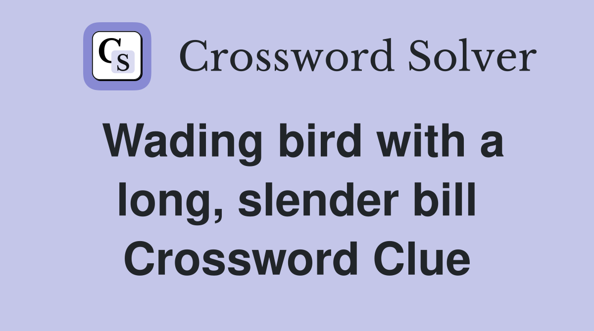 Wading bird with a long, slender bill Crossword Clue