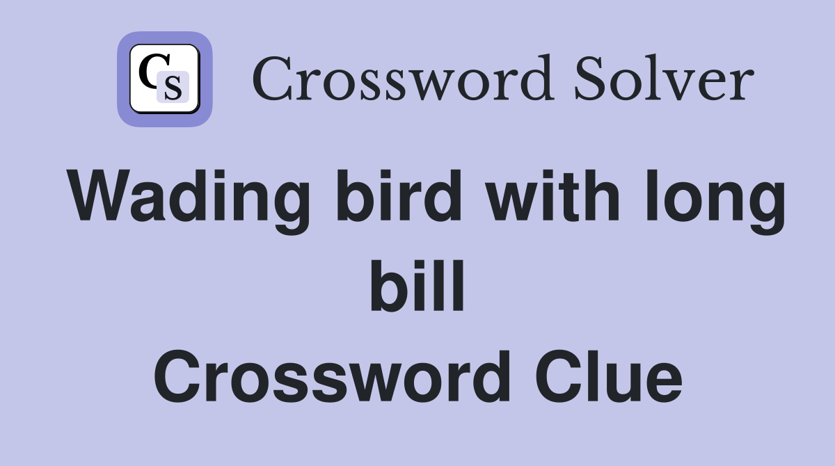 Wading bird with long bill Crossword Clue