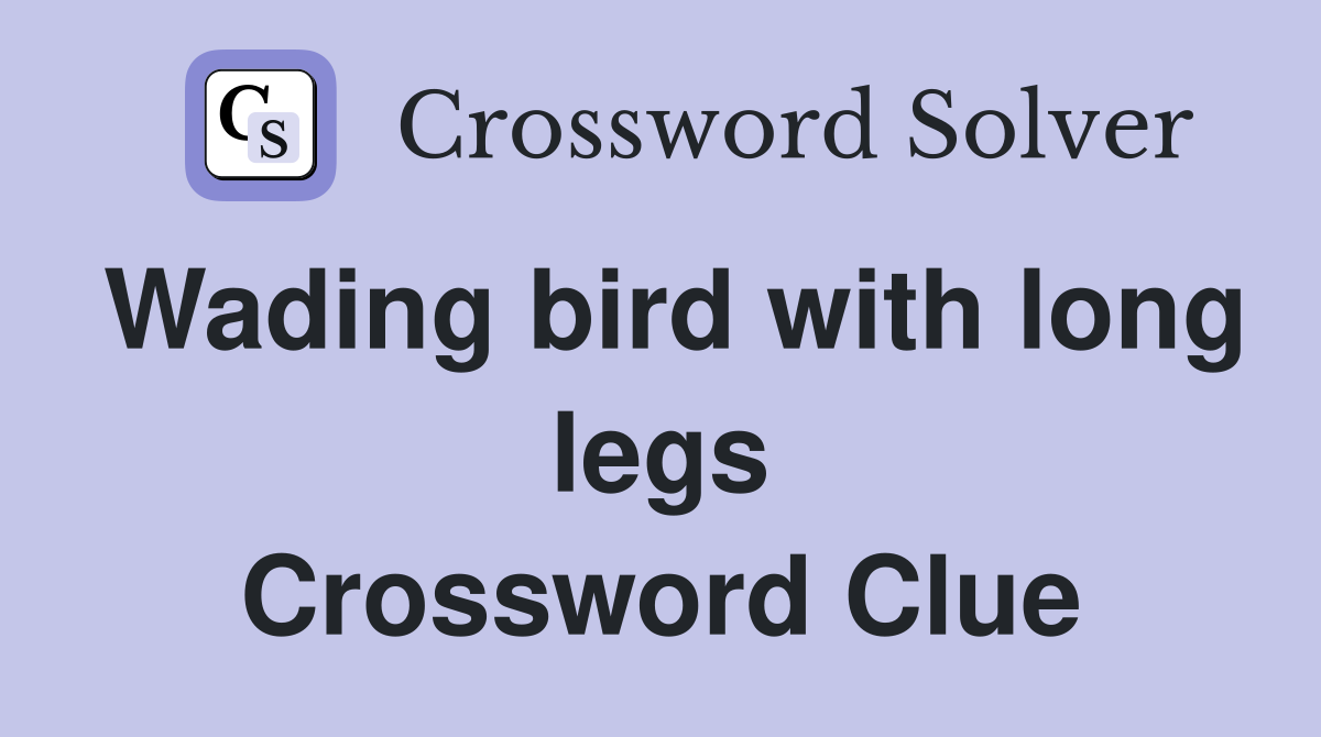 Wading bird with long legs Crossword Clue