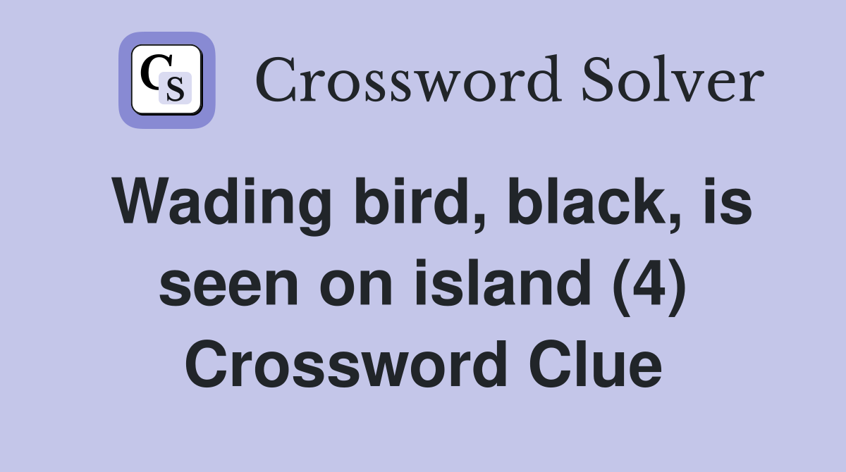Wading bird, black, is seen on island (4) Crossword Clue