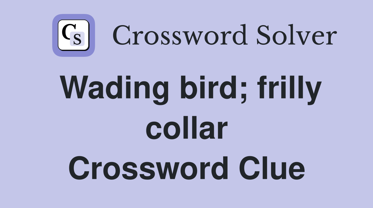 Wading bird; frilly collar Crossword Clue