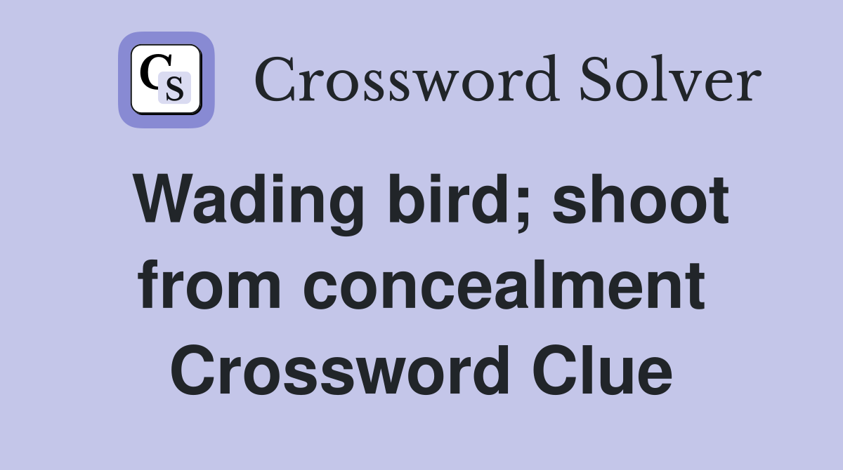 Wading bird; shoot from concealment Crossword Clue