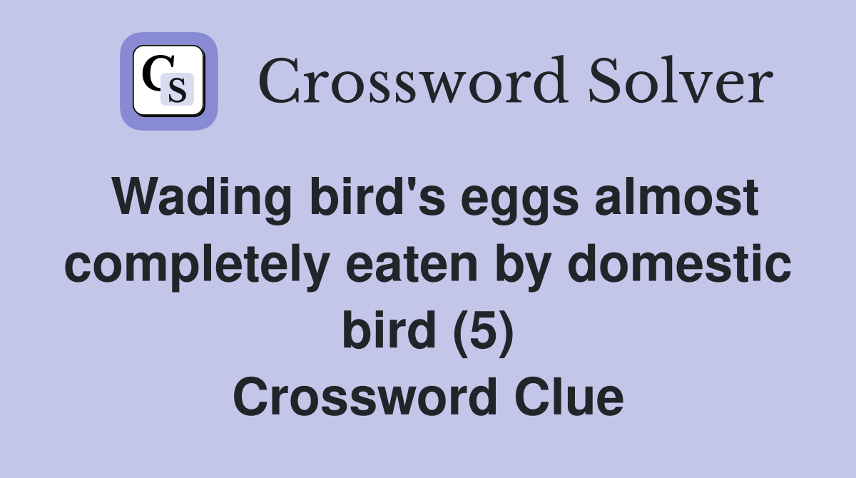 Wading bird's eggs almost completely eaten by domestic bird (5) Crossword Clue