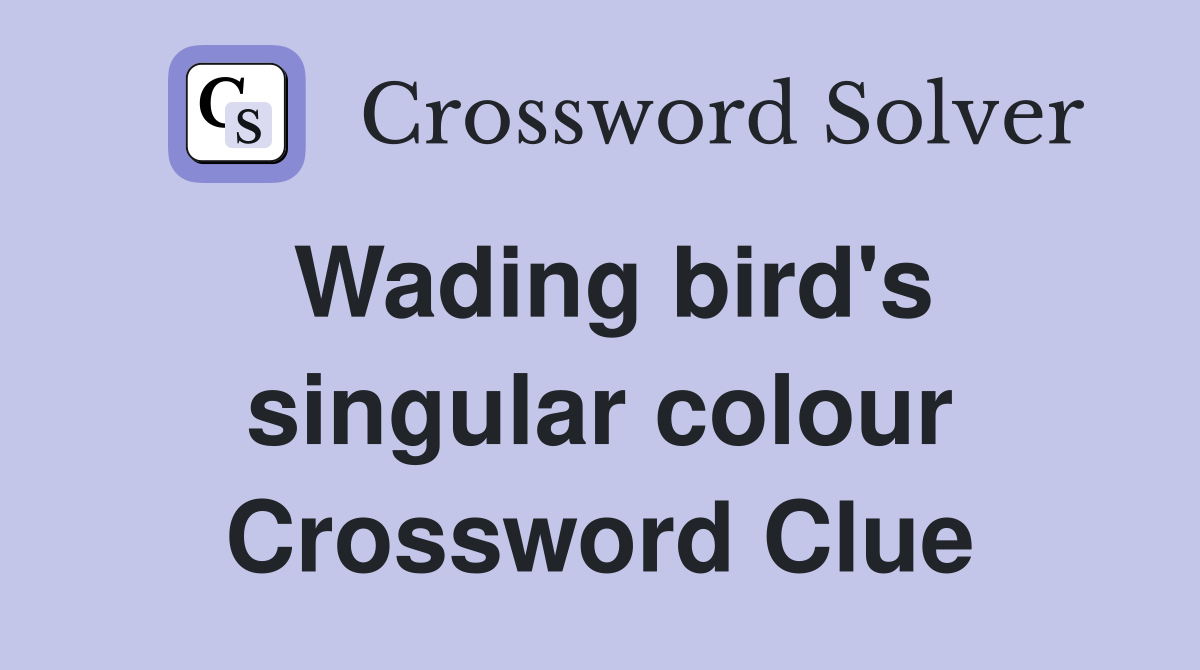 Wading bird's singular colour Crossword Clue