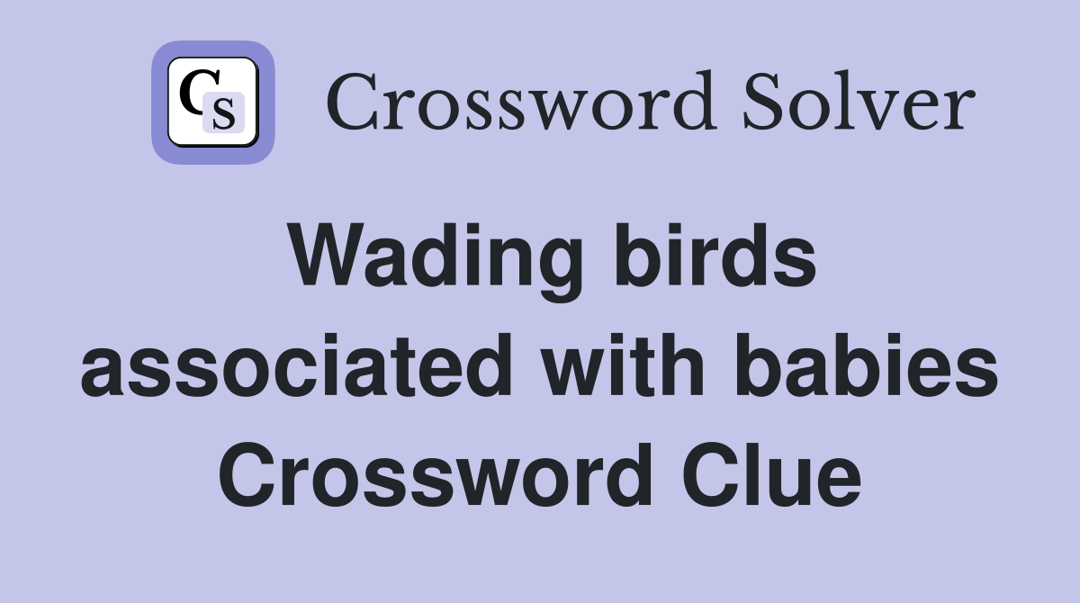 Wading birds associated with babies Crossword Clue