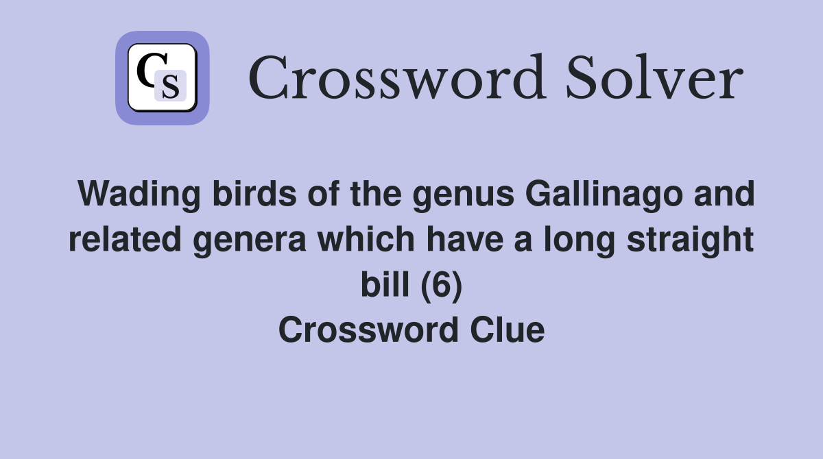Wading birds of the genus Gallinago and related genera which have a long straight bill (6) Crossword Clue