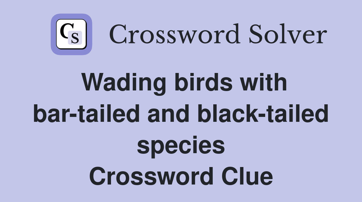 Wading birds with bar-tailed and black-tailed species Crossword Clue