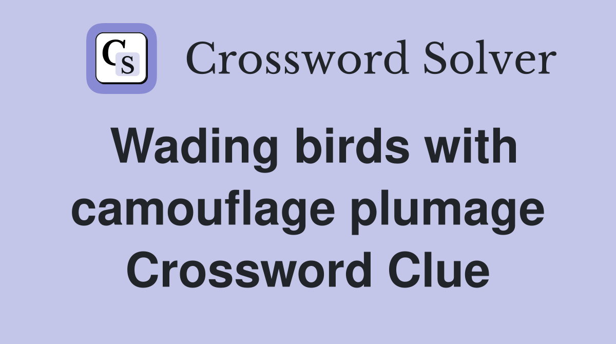 Wading birds with camouflage plumage Crossword Clue