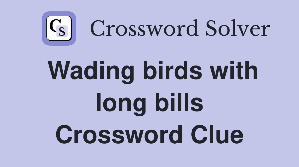 Wading birds with long bills Crossword Clue
