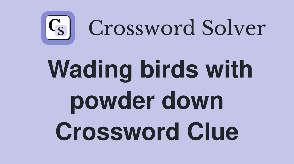 Wading birds with powder down Crossword Clue