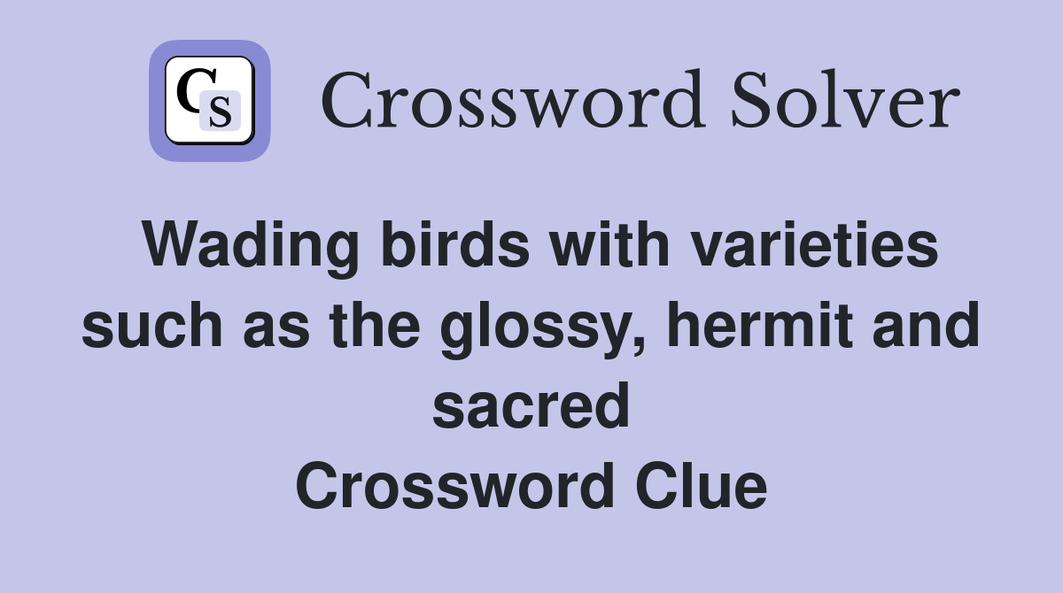Wading birds with varieties such as the glossy, hermit and sacred Crossword Clue