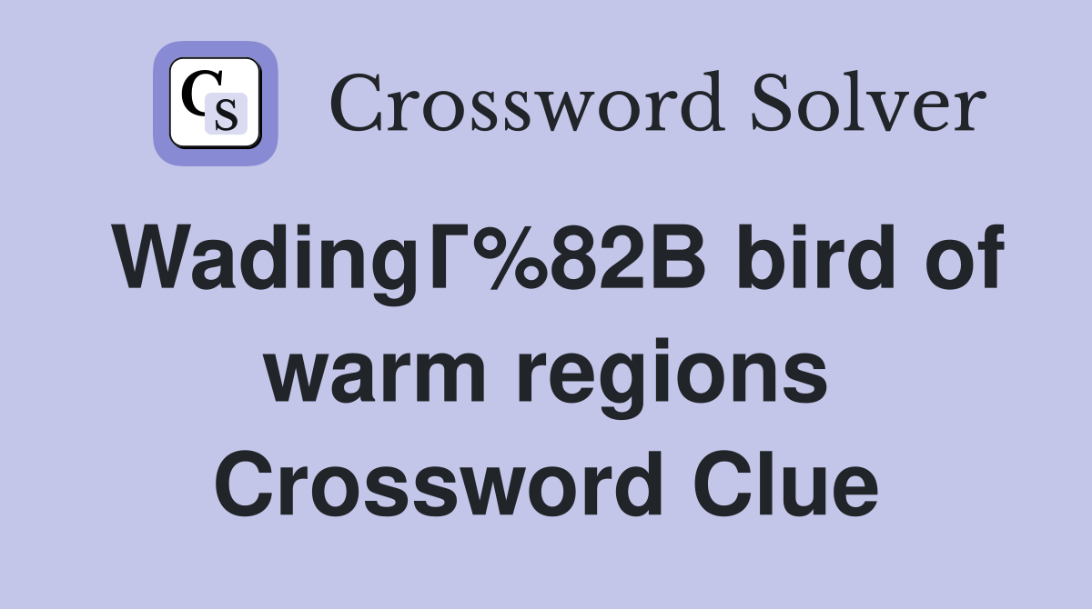 WadingГ%82В bird of warm regions Crossword Clue