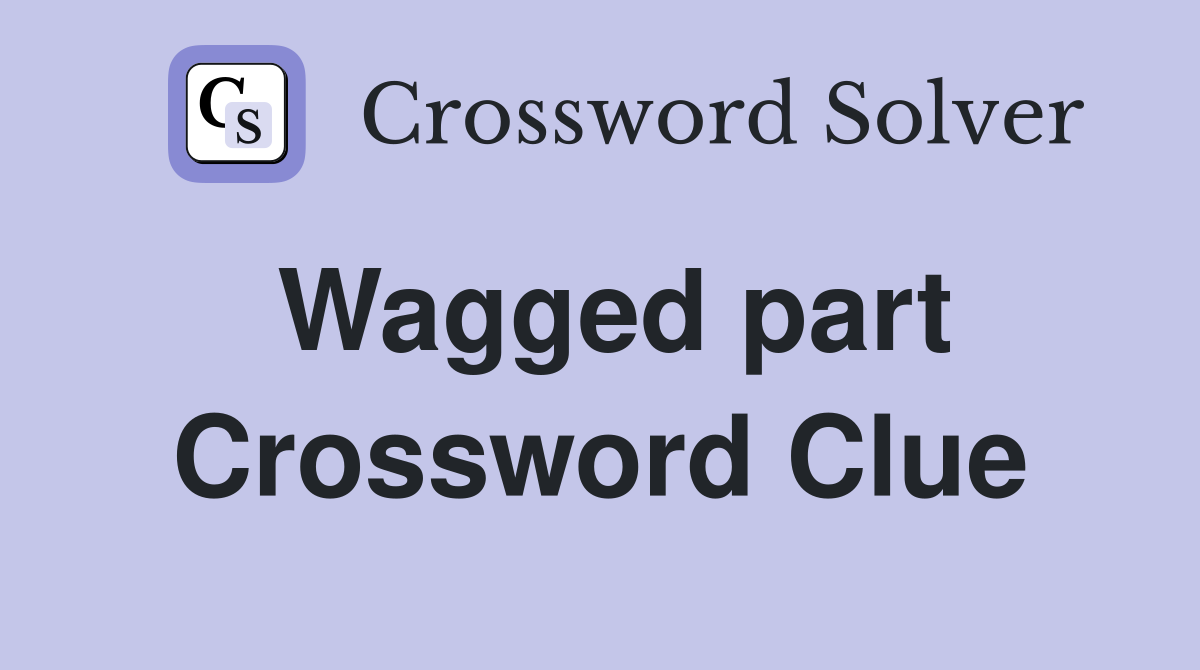Wagged part Crossword Clue