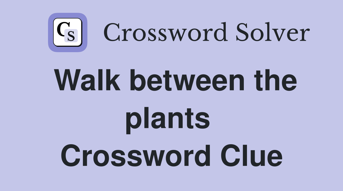 Walk between the plants  Crossword Clue