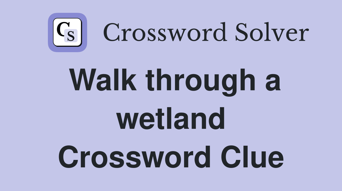 Walk through a wetland Crossword Clue