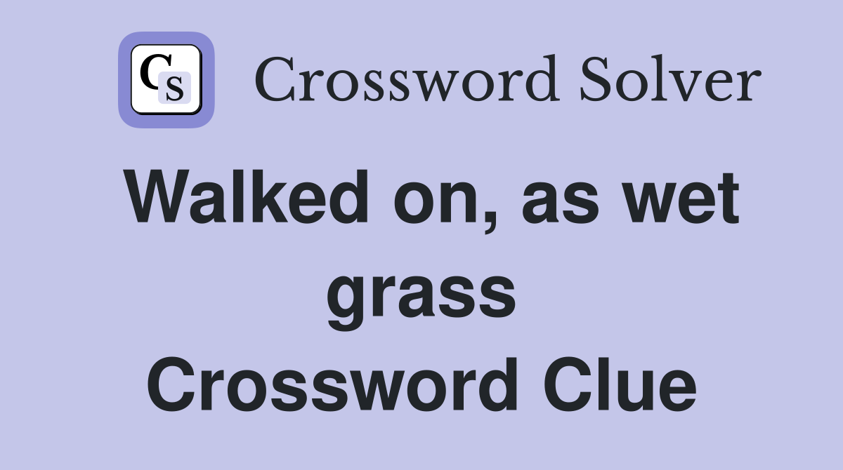Walked on, as wet grass Crossword Clue
