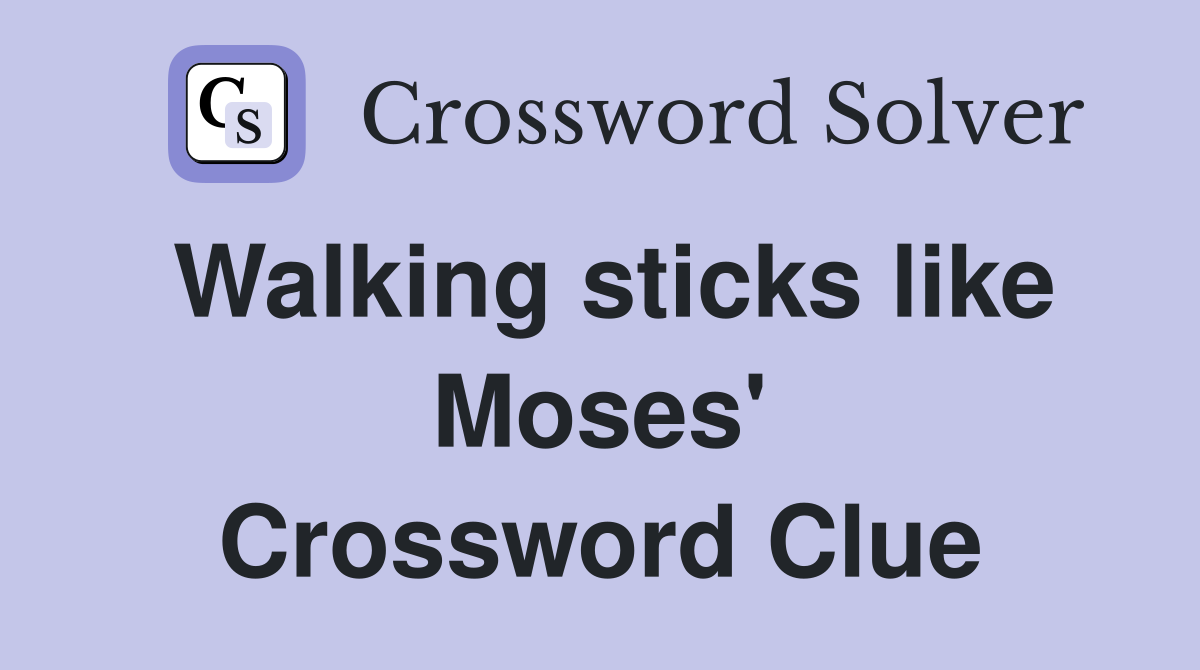 Walking sticks like Moses' Crossword Clue
