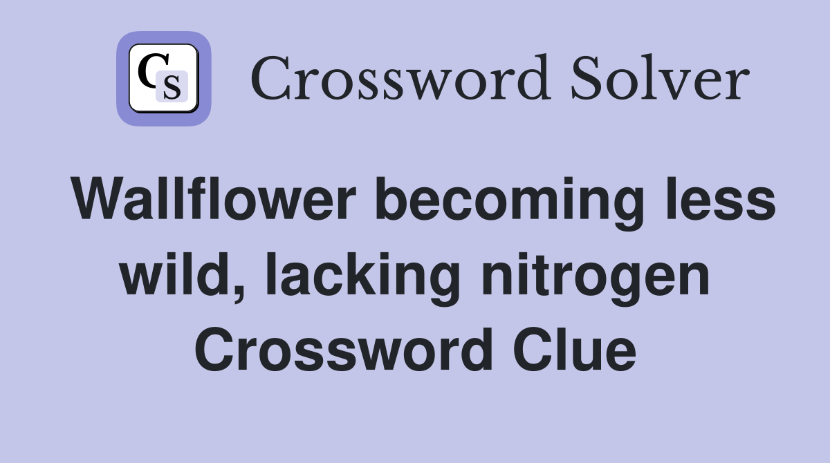 Wallflower becoming less wild, lacking nitrogen Crossword Clue