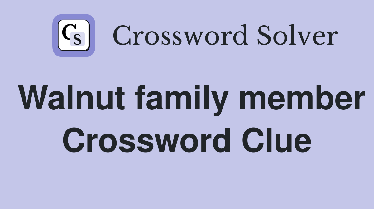 Walnut family member Crossword Clue