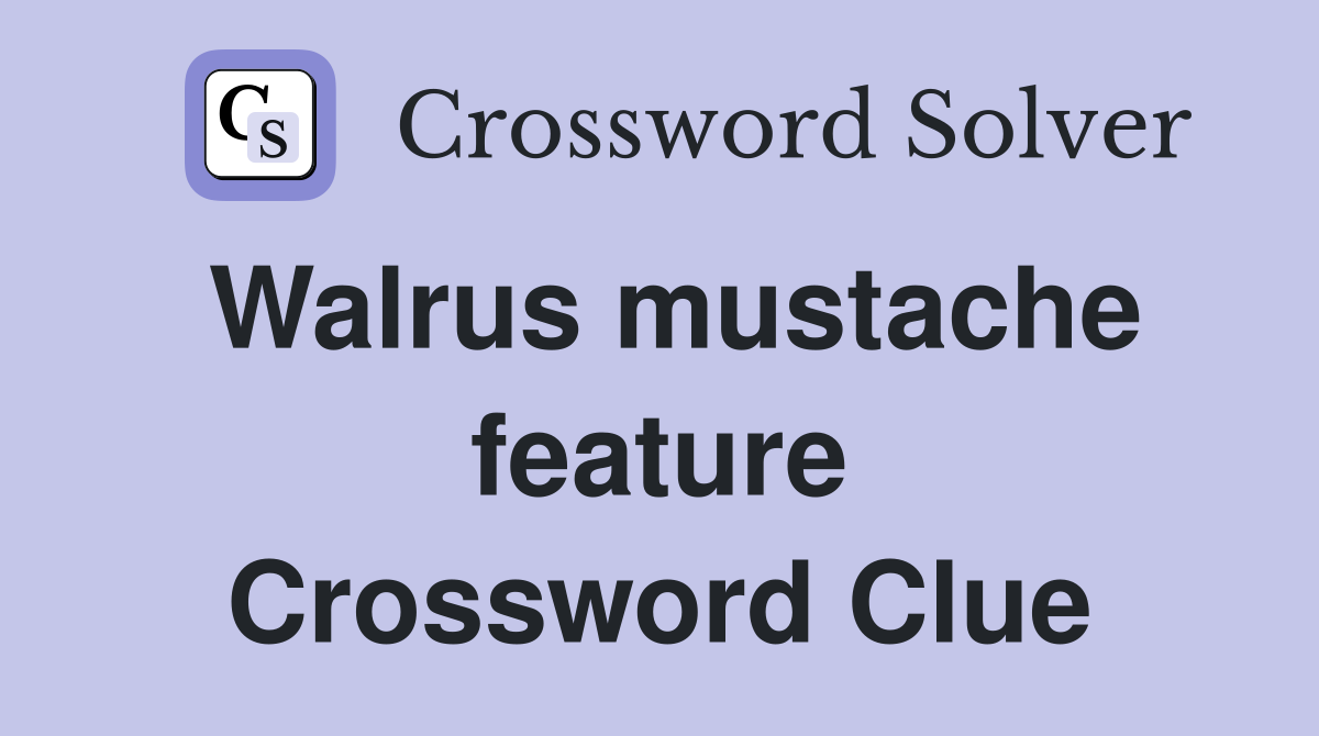 Walrus mustache feature Crossword Clue