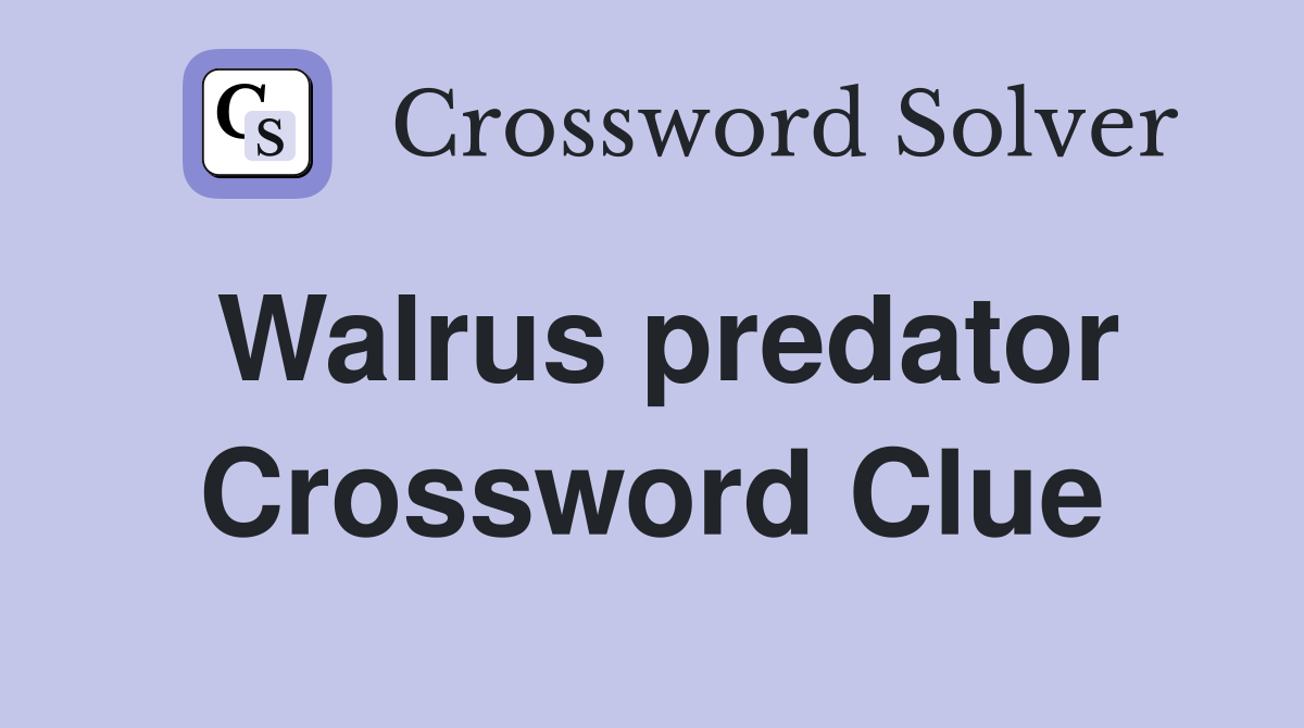 Walrus predator Crossword Clue