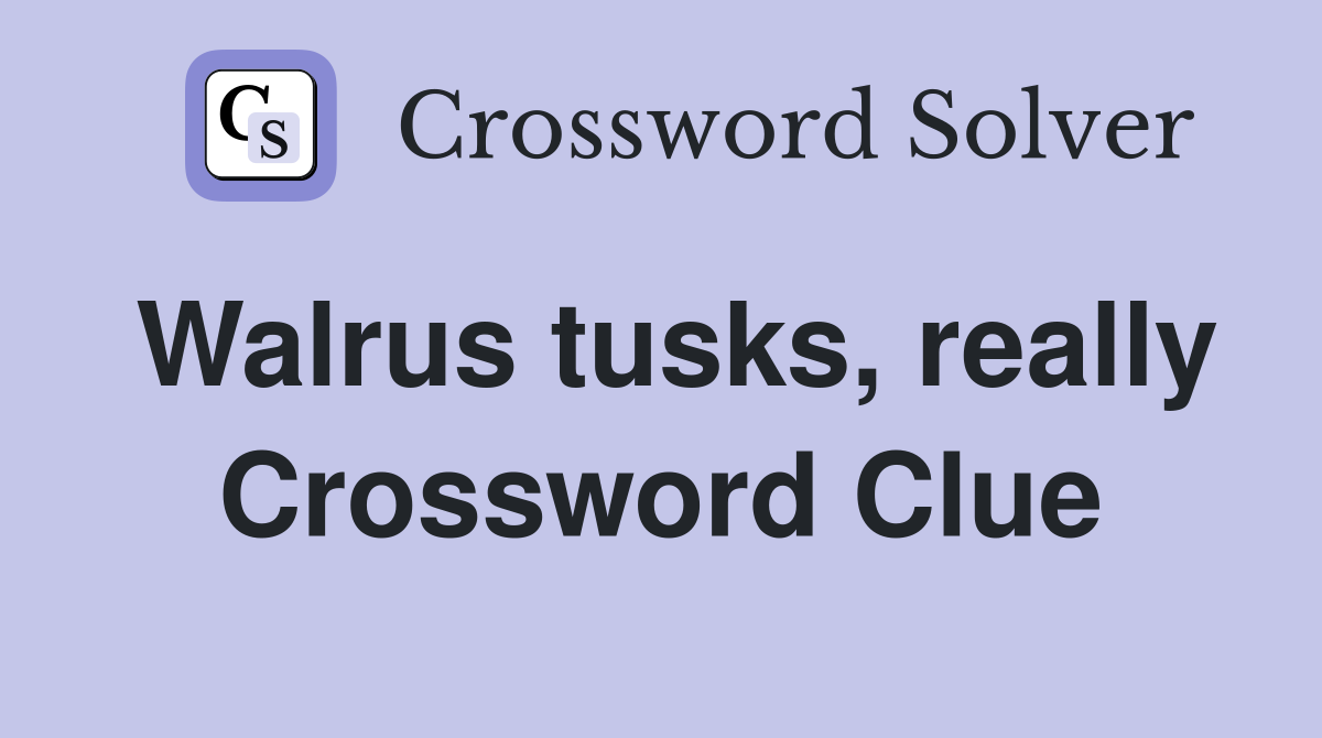 Walrus tusks, really Crossword Clue