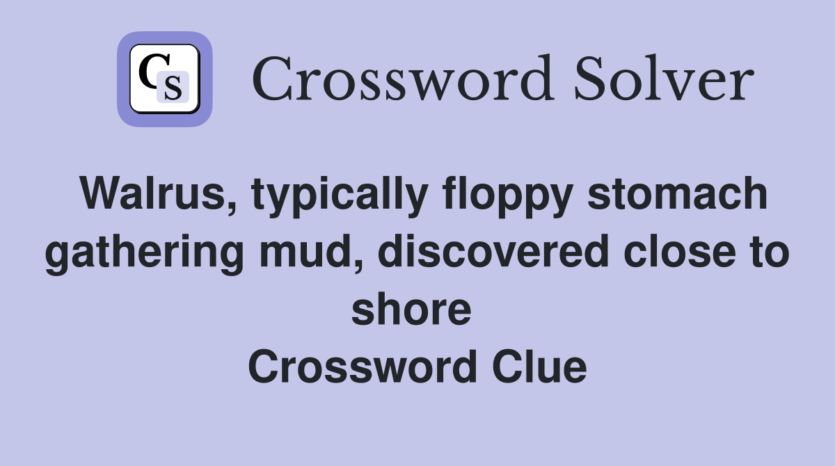 Walrus, typically floppy stomach gathering mud, discovered close to shore  Crossword Clue