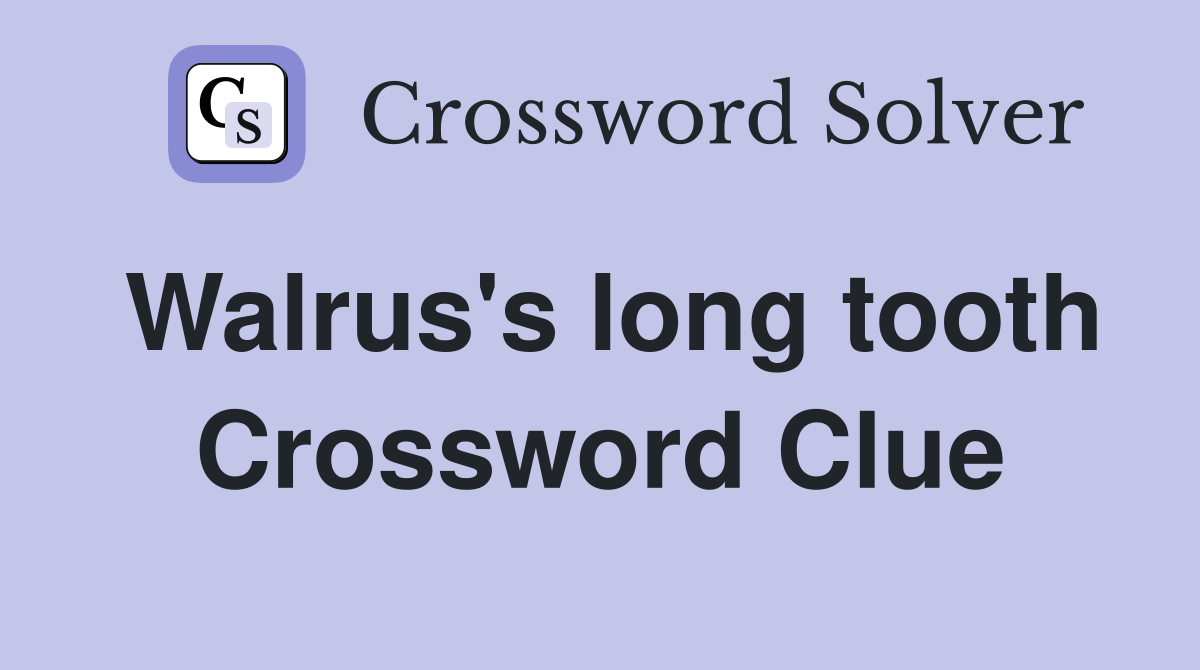 Walrus's long tooth Crossword Clue