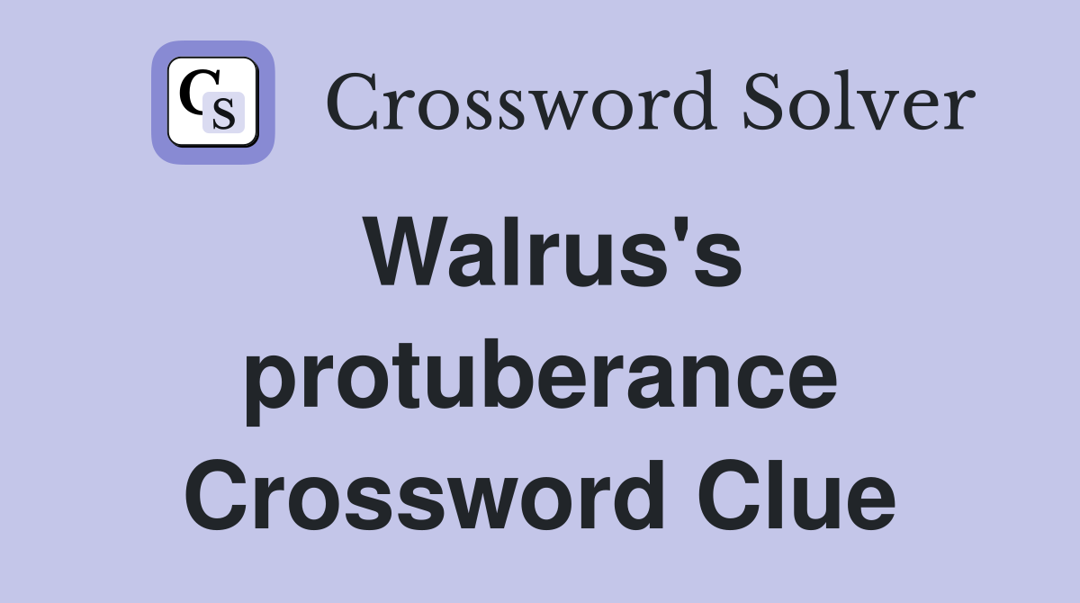 Walrus's protuberance Crossword Clue
