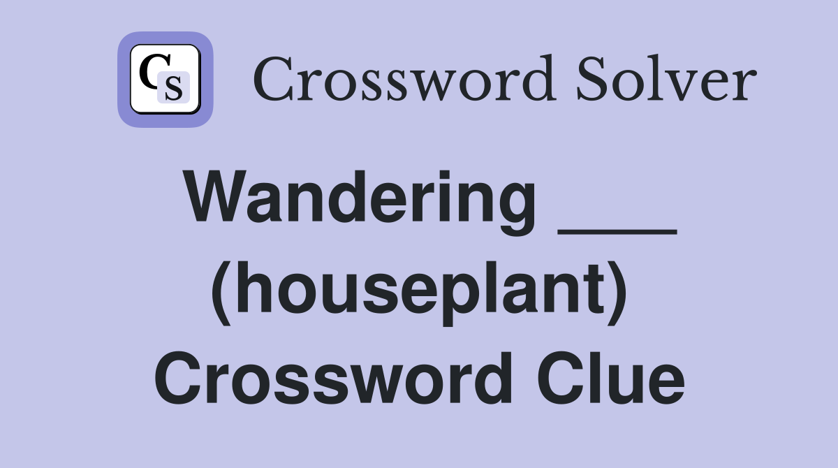 Wandering ___ (houseplant) Crossword Clue