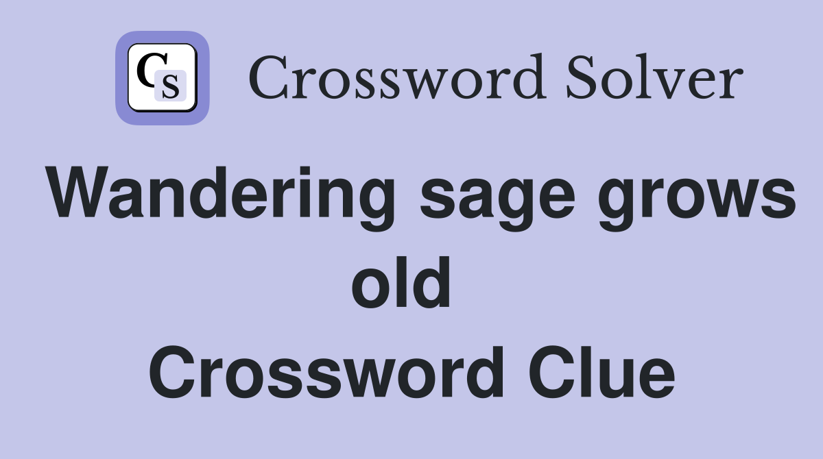 Wandering sage grows old  Crossword Clue